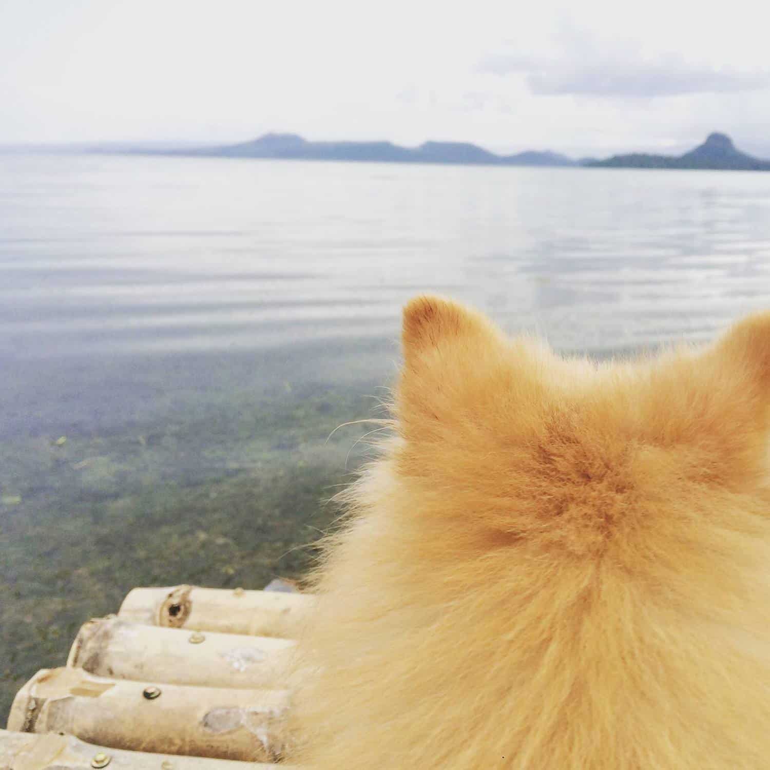 Glitter overlooking Taal lake