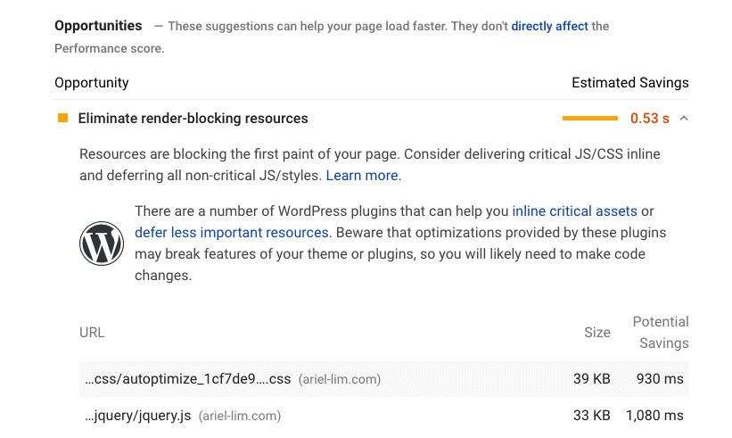 Render Blocking Resources in Google PageSpeed Insights