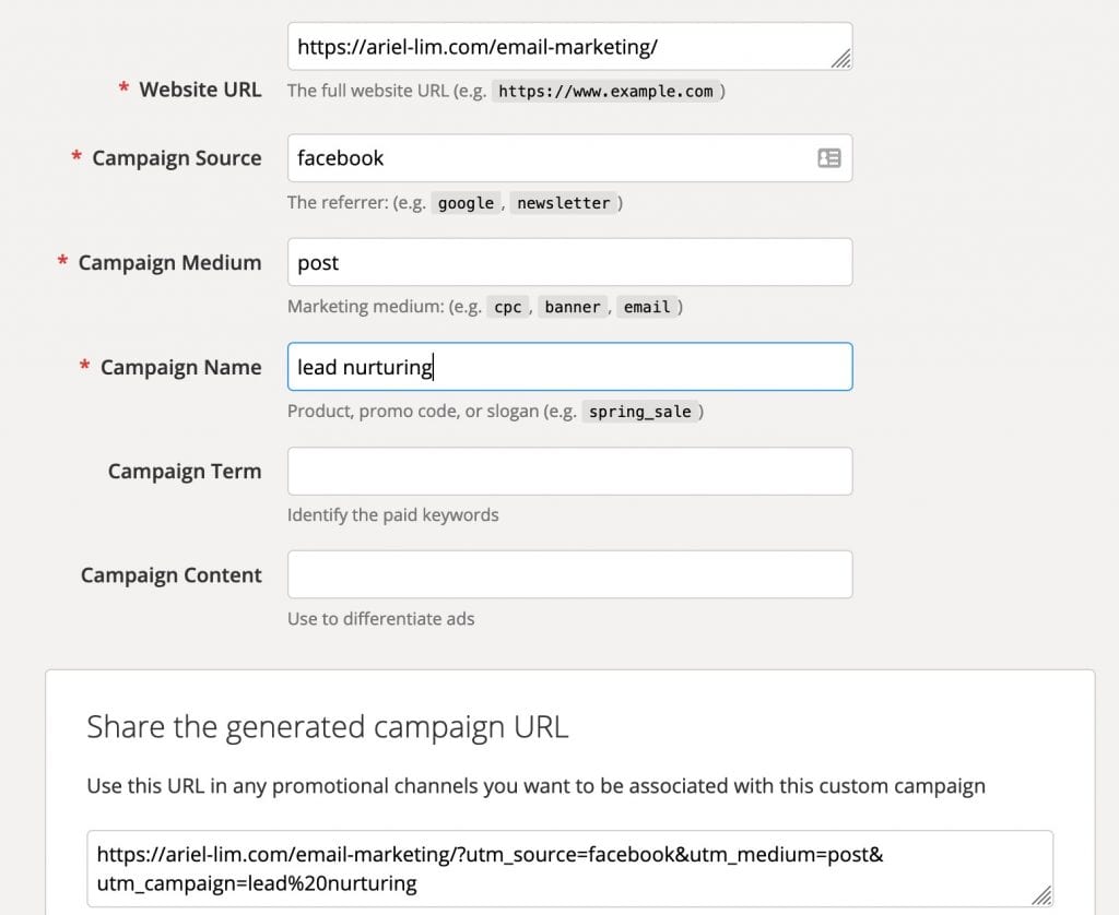 Google's URL Campaign Builder Example